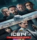 IC 814 The Kandahar Hijack S01 (2024) Hindi Completed Web Series HEVC ESub